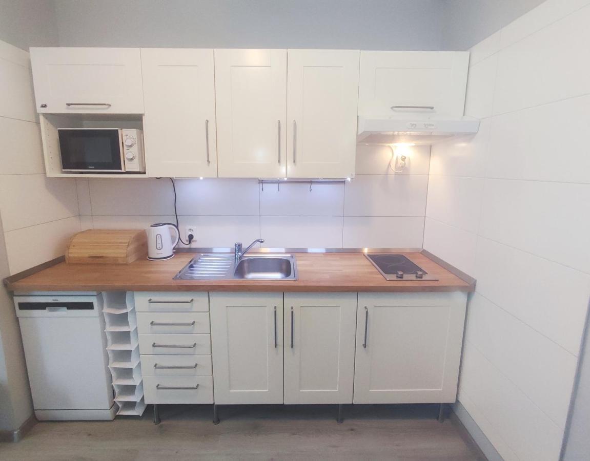 Alisa Apartments Kostomlaty nad Labem エクステリア 写真